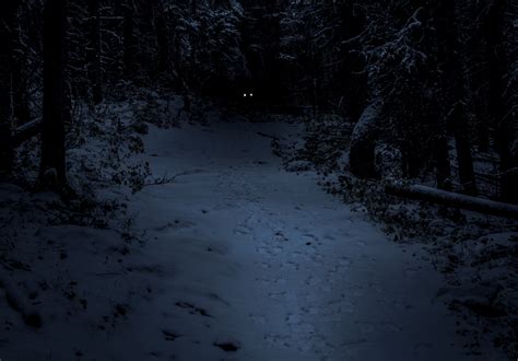 Dancing In The Dark — A Walk In The Woods At Night By