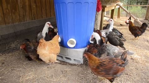 Our daughter prefers to feed the chickens with a scoop every day and i just check once a week and top it off. 3 Bag EASY Automatic Chicken Feeder - J&J Acres