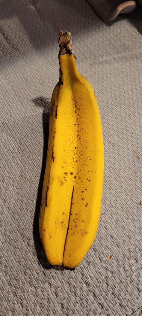 A Siamese Banana Rmildlyinteresting