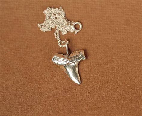 Shark Tooth Necklace Silver Shark Tooth Necklace A Solid Sterling