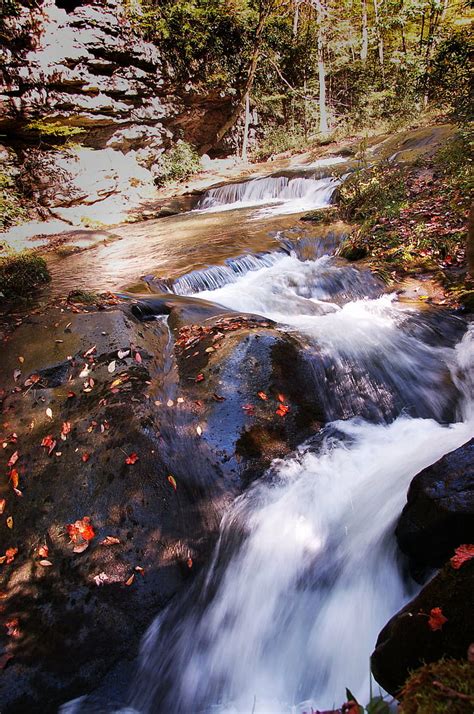 Fallingwater Hd Wallpapers Free Download Wallpaperbetter