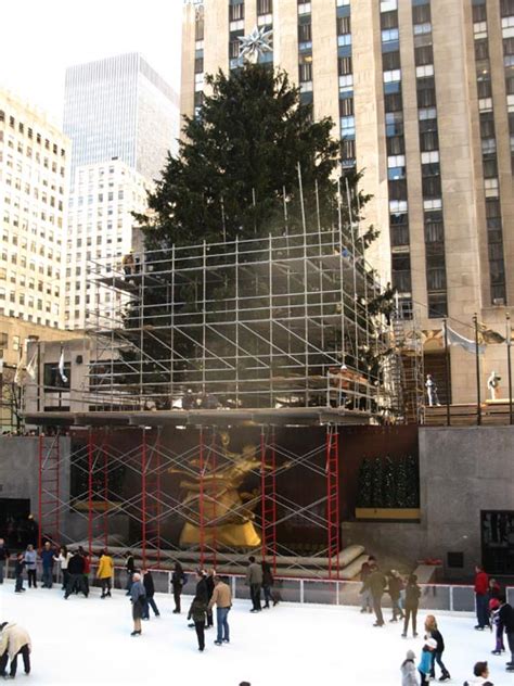 Rockefeller Center Christmas Tree Rockefeller Center