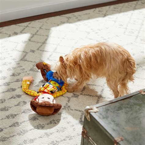 Pixar Woody Bungee Plush Squeaky Dog Toy