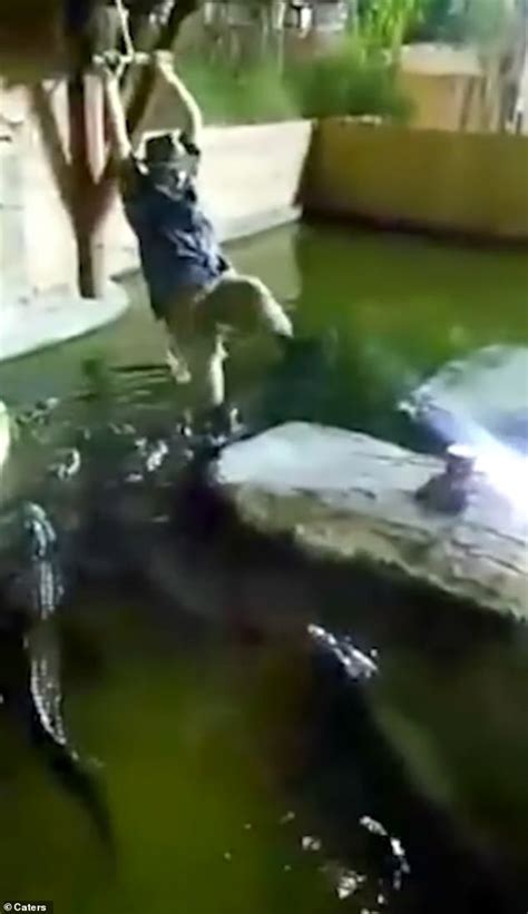 Man Falls Into A Pool Of Alligators After His Rope Swing Snaps News