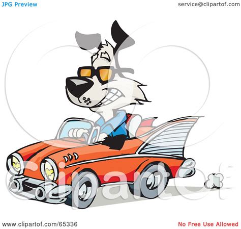 Royalty Free Rf Clipart Illustration Of A Black And White Dog Driving