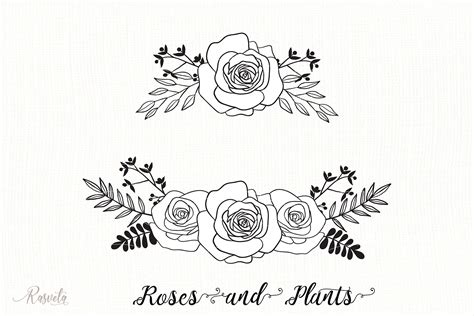 Divider Roses Bouquets Graphic By Rasveta · Creative Fabrica