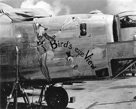 B 24 Liberator Bomber Birds Eye View Nose Art 11th Bomb Group World