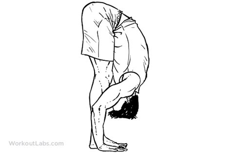Standing Forward Bend Uttanasana Yoga Poses Guide By