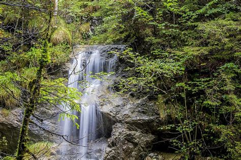 Waters Nature Wood River Waterfall Landscape Bach Rock Tree