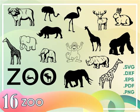 Zoo Animal Svg Free 101 File For Free Free Craft Svg File Graphics