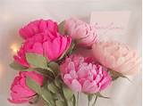 Peony Paper Flower Images