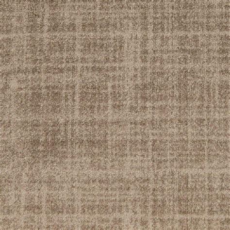 Shop Stainmaster Taupe Nylon Fashion Forward Carpet Sample At