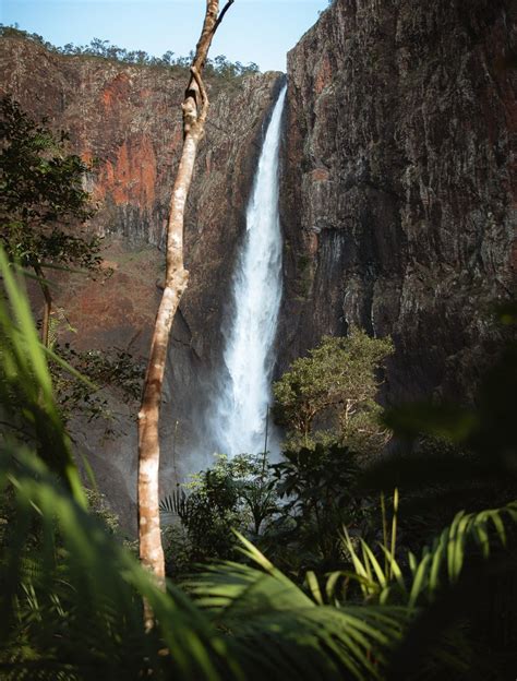 Wallaman Falls Queensland Guide To Visiting The Tallest Waterfall In