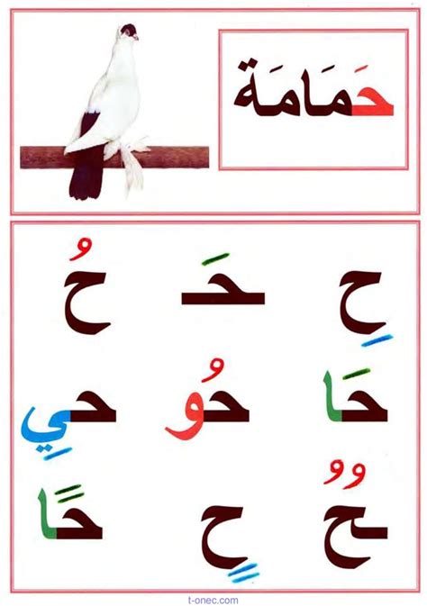 معلقات تزيين القسم صور الحروف الابجدية العربية للطور الاول ابتدائي
