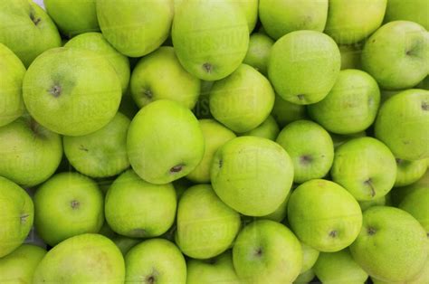 Pile Of Green Apples Stock Photo Dissolve