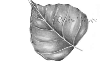 Share More Than 77 Pencil Sketch Leaf Best Vn