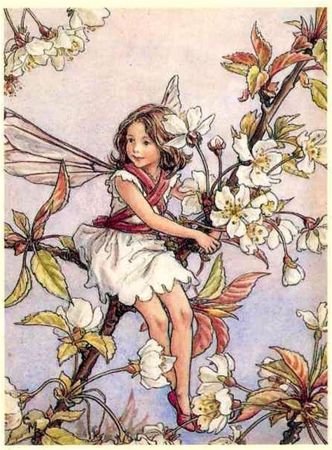 Wild Cherry Blossom Fairy By Cicely Mary Barker Fairy Pictures Fairy