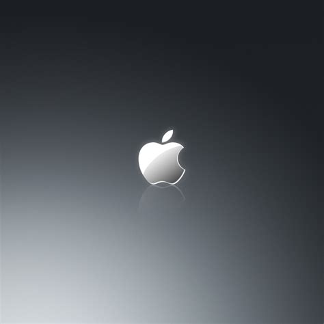 Grey Apple Logo Ipad Wallpaper