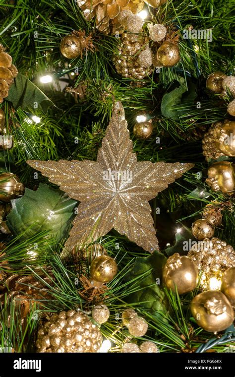 Holiday Time Christmas Tree Clearance Sale Save 41 Jlcatjgobmx