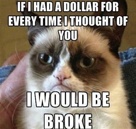 25 Hilarious Grumpy Cat Memes That Sum Up A Cats Tough Life Purrtacular