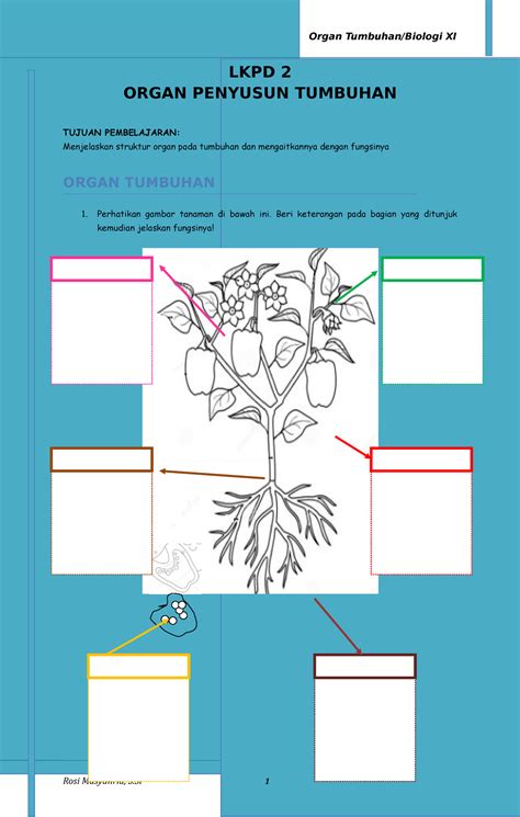 LKPD 3 3B Bagian Tubuh Tumbuhan OK 2022 LKPD 2 ORGAN PENYUSUN