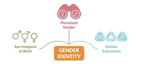 The Evolving Language Of Gender Identity And Expression