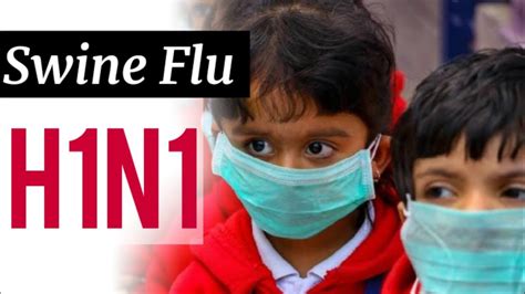 Swine Flu H1n1 Virus Symptoms Current Affairs For Civil Services