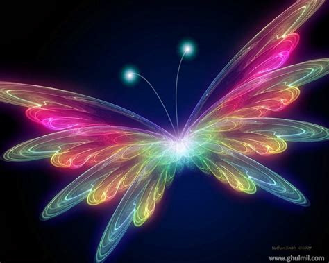 Free Download Free Live Butterfly Wallpaper Beautiful Desktop
