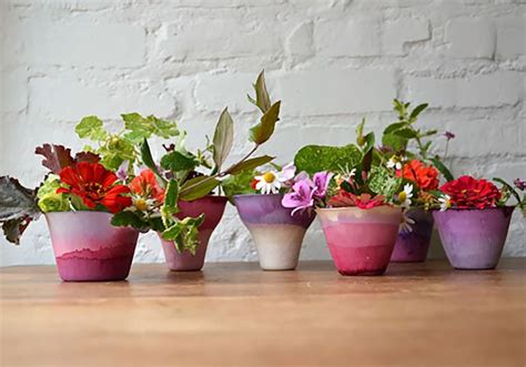 Five Pots With Different Types Of Flowers In Them Sitting On A Table