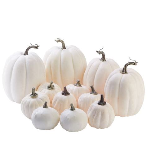 Assorted Harvest White Artificial Pumpkins Fall And Halloween
