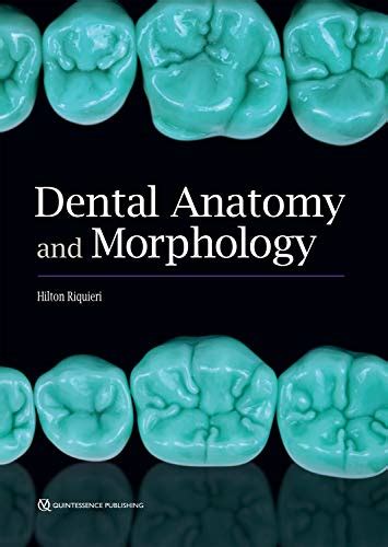 Dental Anatomy And Morphology Nejad Institute For Biomimetic Dentistry