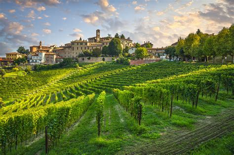 Neive Village And Langhe Vineyards Piedmont Italy Europe Vitalia