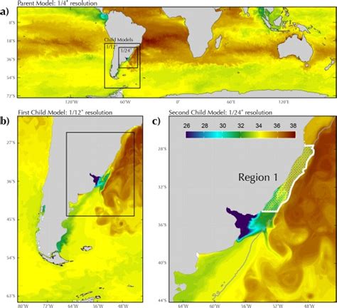 Snapshots Of The Sea Surface Salinity Sss In The Nested Model