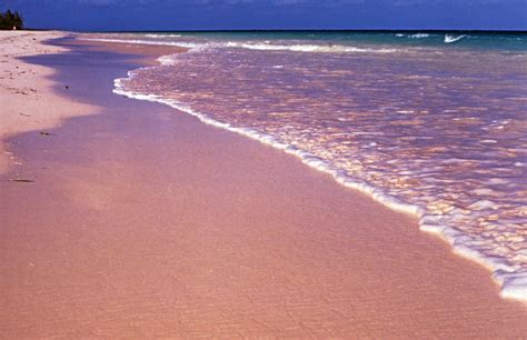 Beautiful Pink Sand Beaches No Rose Colored Glasses Needed Travel