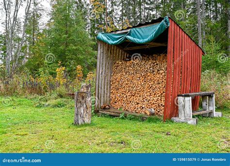 Fire Wood Stacked In A Little Shelter Stock Image Image Of Trees