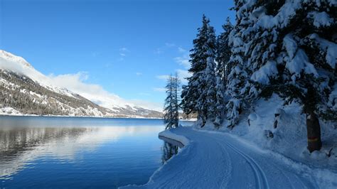 Snow Covered Silvaplana Path Switzerland 4k 5k Hd Winter Wallpapers