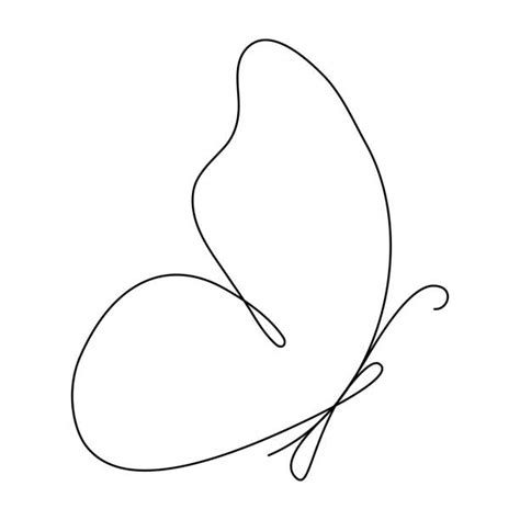 320 Simple Butterfly Outline Pictures Illustrations Royalty Free