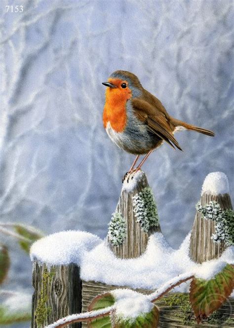 Robin Winter Scene Limited Edition Art Print By Nigel Artingstall