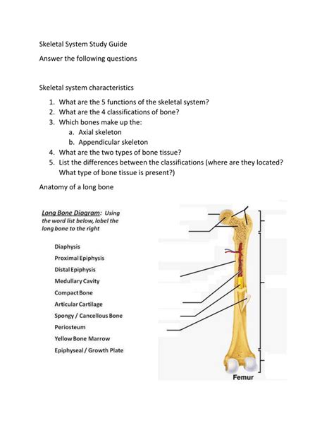 Chapter 5 The Skeletal System Answer Key › Athens Mutual Student Corner