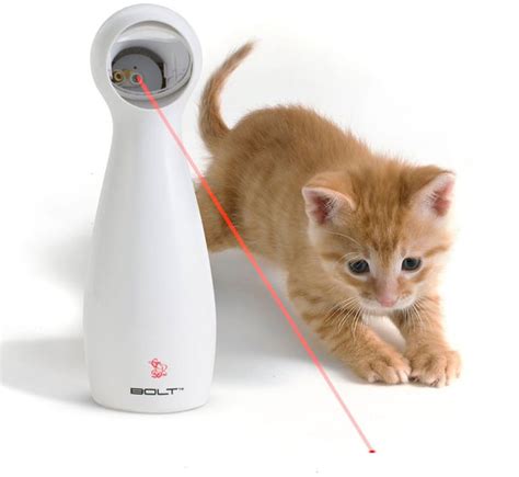Petsafe Bolt Interactive Laser Cat Toy Best Products For Pet Owners