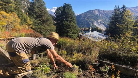 Jardinier • recherche parmi 97.000+ offres d'emploi en cours belgique et à l'étranger • rapide & gratuit • temps plein, temporaire et à temps partiel • meilleurs employeurs • emploi : Un Jardin pour la planète | Agenda - Culture Valais