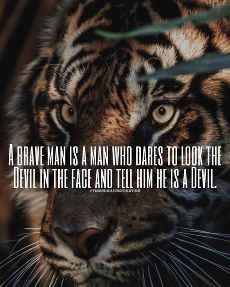 Tiger Motivational Quotes 🐅 On Instagram Now Tell Me Who Is The