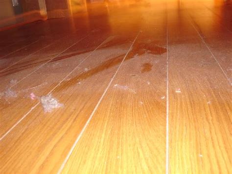 Dust On The Floor Picture Of Blue Lagoon Clinic Grindavik Tripadvisor