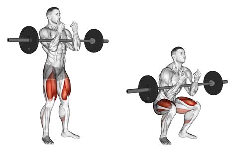 8 Best Types Of Squat Variations With Pictures Inspire Us