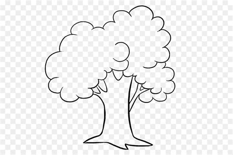 Drzewo Pohon Sketsa Kolorowanka Druku Drzewa Szablon Pixabay Arbor