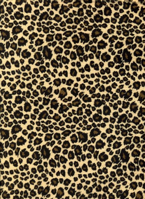 Cheetah Print Aesthetic Wallpaper For Computer Hallatorp