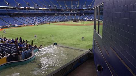 Another Day In The Life Tropicana Field
