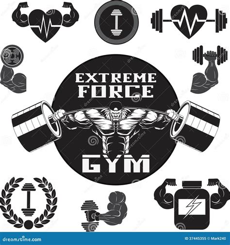 Vector Set Gym Stock Vector Illustration Of Iron Collection 37445355