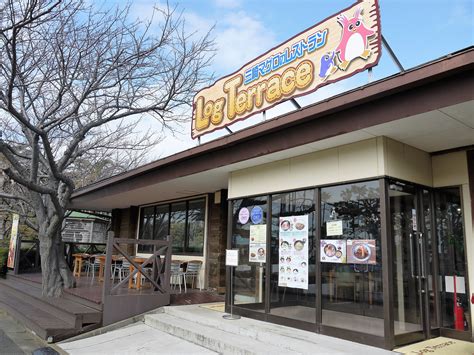 レックス ロリータコンプレックス いたそうだな おお 先生羨ましい 胸でかい パンツ見えん. 【京急線三崎口駅】「京急油壺マリンパーク」愛犬と一緒に ...