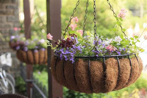 How To Plant A Hanging Flower Basket